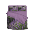  Lavender Fields 02